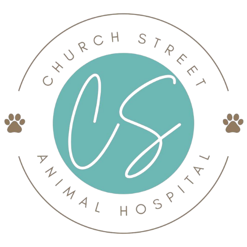 Church Street Animal Hospital