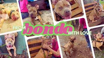 Photos from Our Visit with Bondo