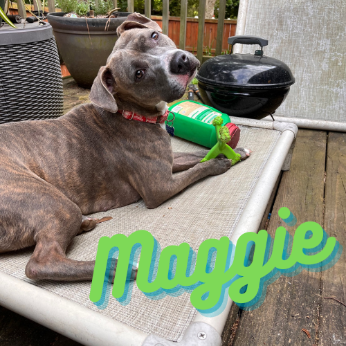 Maggie