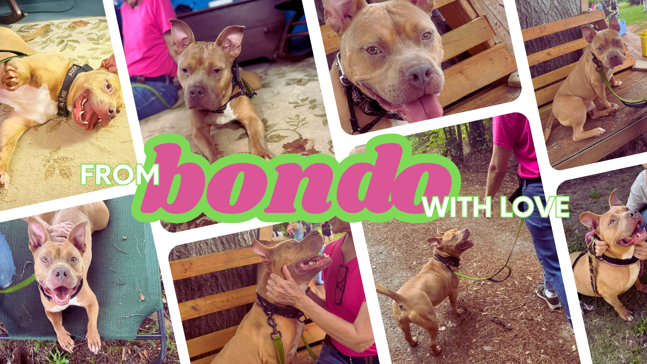 Photos from Our Visit with Bondo